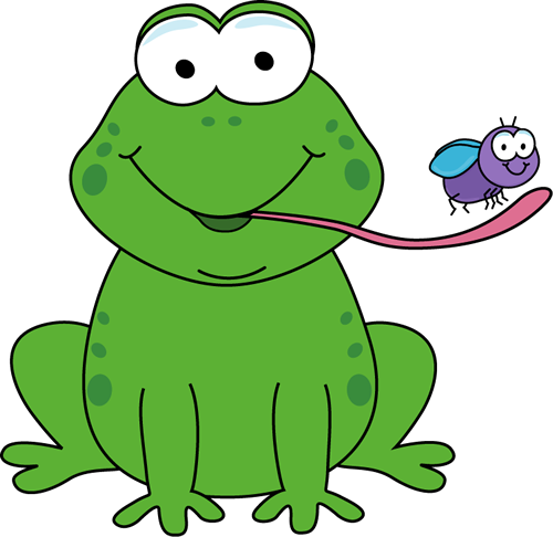 Ribbit Wins a Ribbon